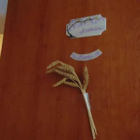 La Grotta Bed & Breakfast Castel Giorgio